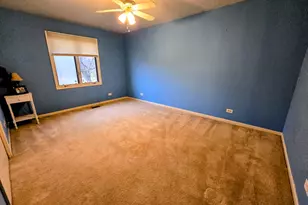 24656 S Willow Brook Trail, Crete, IL 60417 - Photo 27