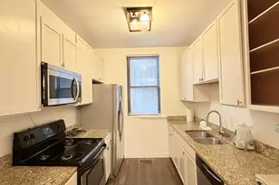 642 N Dearborn St, Chicago, IL 60654 - Photo 13