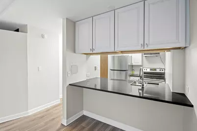 233 E Erie Street #2203, Chicago, IL 60611 - Photo 9