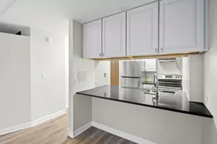 233 E Erie St, Chicago, IL 60611 - Photo 9