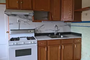 2632 S Princeton Ave, Chicago, IL 60616 - Photo 3