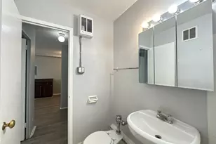 1040 W Hollywood Ave, Chicago, IL 60660 - Photo 19