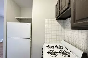 4610 N Dover St, Chicago, IL 60640 - Photo 5