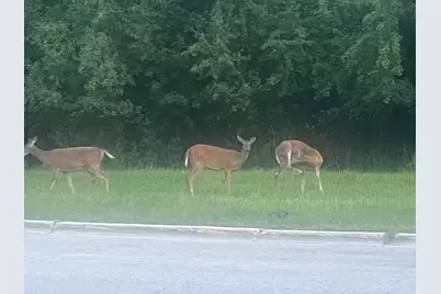 2222 S 15th Avenue, North Riverside, IL 60546 - Photo 47