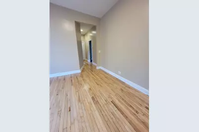 1239 S Spaulding Avenue, Chicago, IL 60623 - Photo 5