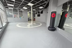 2329 W Belmont Ave, Chicago, IL 60618 - Photo 15