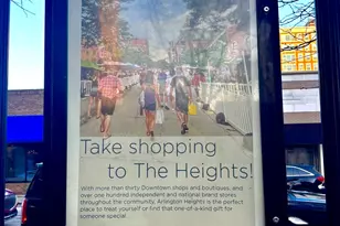 502 W Miner St, Arlington Heights, IL 60005 - Photo 39