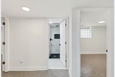 312 E 136th Street, Chicago, IL 60827 - Photo 29