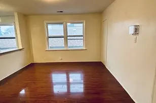 4541 S Lowe Ave, Chicago, IL 60609 - Photo 3