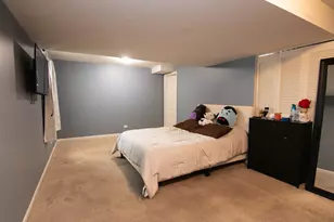 3619 Daisy Ln, Elgin, IL 60124 - Photo 25