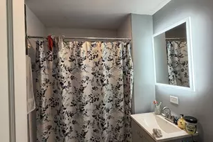 6156 S Indiana Ave, Chicago, IL 60637 - Photo 7