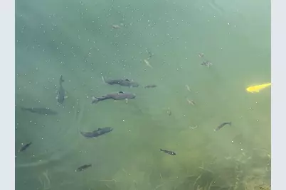 194 Fossil Cove Lane, Wilmington, IL 60481 - Photo 43