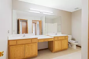 274 White Hawk Way, Manteno, IL 60950 - Photo 27