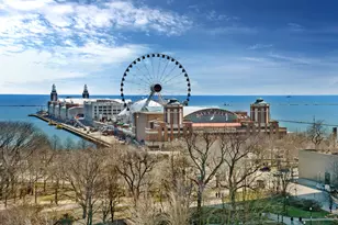 600 N Lake Shore Dr, Chicago, IL 60611 - Photo 9