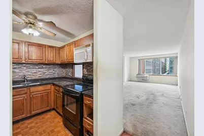 801 S Plymouth Avenue #415, Chicago, IL 60605 - Photo 7