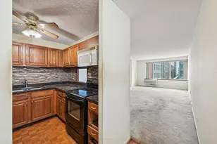801 S Plymouth Ave, Chicago, IL 60605 - Photo 7