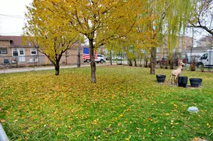 5239 N Virginia Ave, Chicago, IL 60625 - Photo 25