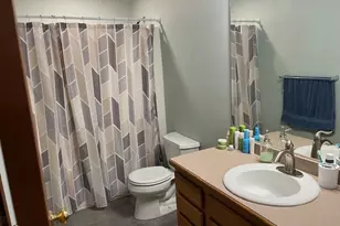 1466 Mollie Dr, Morris, IL 60450 - Photo 21