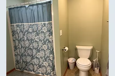 1466 Mollie Drive, Morris, IL 60450 - Photo 31