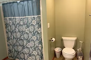 1466 Mollie Dr, Morris, IL 60450 - Photo 31