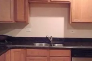 24 S Leavitt St, Chicago, IL 60612 - Photo 5