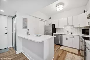 175 E Delaware Pl, Chicago, IL 60611 - Photo 5