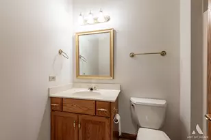 15141 Arbor Dr, Orland Park, IL 60467 - Photo 39