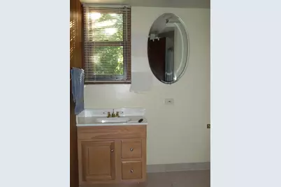 305 Oregon Avenue, West Dundee, IL 60118 - Photo 61