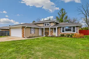 14905 Avenida Del Este St, Orland Park, IL 60462 - Photo 1