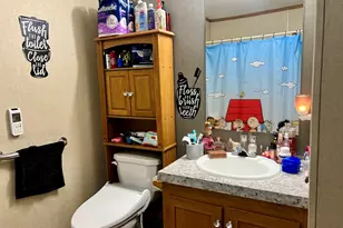 27 Lakeview Rd, Gays, IL 61928 - Photo 23