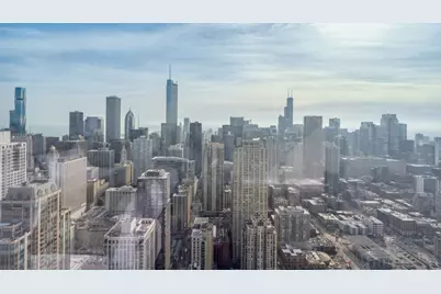 14 W Superior Street #6002, Chicago, IL 60654 - Photo 31