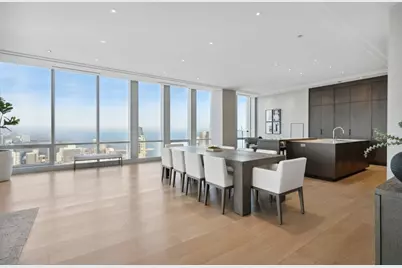 14 W Superior Street #6002, Chicago, IL 60654 - Photo 11