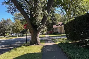 8542 School St, Morton Grove, IL 60053 - Photo 23