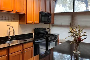 1707 N Paulina St, Chicago, IL 60622 - Photo 3