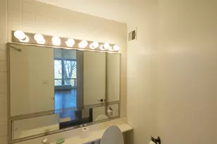 601 E 32nd St, Chicago, IL 60616 - Photo 13