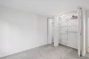 211 E Ohio St, Chicago, IL 60611 - Photo 11