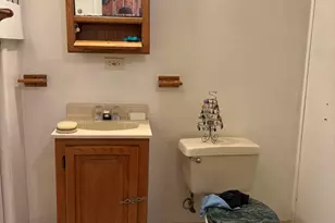 2016 W 52nd St, Chicago, IL 60609 - Photo 39