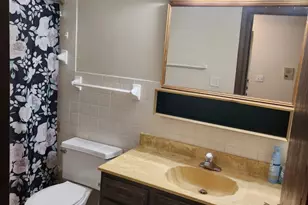 235 N Mill Rd, Addison, IL 60101 - Photo 17