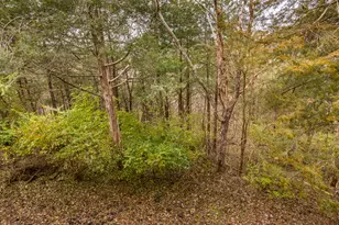 15 Talisman, Galena, IL 61036 - Photo 63