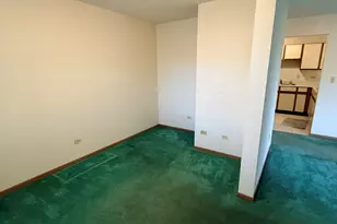 1345 Cunat Ct, Lake in the Hills, IL 60156 - Photo 9