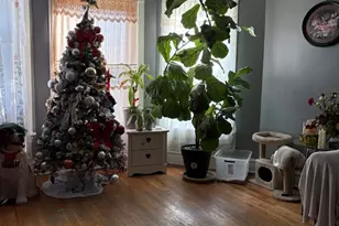 3924 N Sawyer Ave, Chicago, IL 60618 - Photo 5