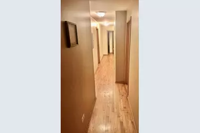 1342 S Karlov Avenue, Chicago, IL 60623 - Photo 11