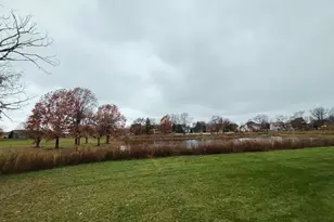 1207 Quail Run Ave, Bolingbrook, IL 60490 - Photo 17