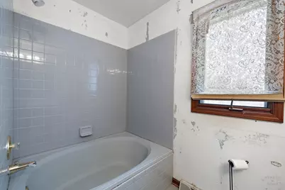 1207 Quail Run Avenue, Bolingbrook, IL 60490 - Photo 39