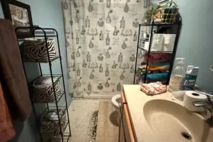 599 N School St, Braidwood, IL 60408 - Photo 5