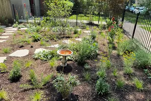 4889 N Hermitage Ave, Chicago, IL 60640 - Photo 27