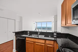 1841 S Calumet Ave, Chicago, IL 60616 - Photo 5