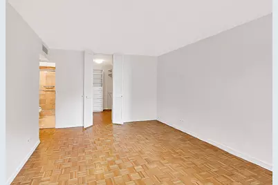 1310 N Ritchie Court #5c, Chicago, IL 60610 - Photo 29