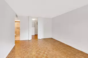 1310 N Ritchie Ct, Chicago, IL 60610 - Photo 29