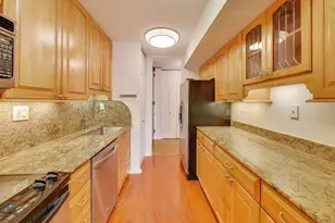 1310 N Ritchie Ct, Chicago, IL 60610 - Photo 13